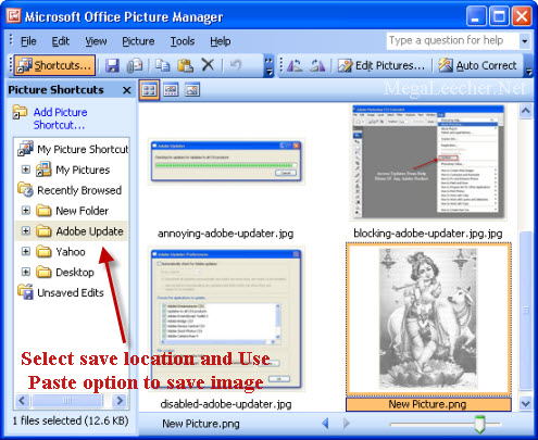 Microsoft office picture manager 2007 free download for windows 7